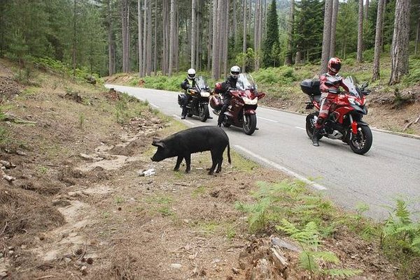 Top 10 des destinations incontournables pour un road trip à moto